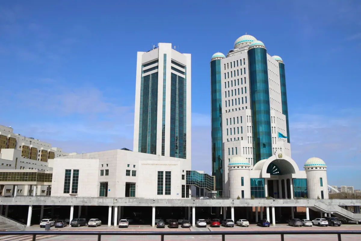 Құрылтай жанынан құрылған қоғамдық палата немен айналысады