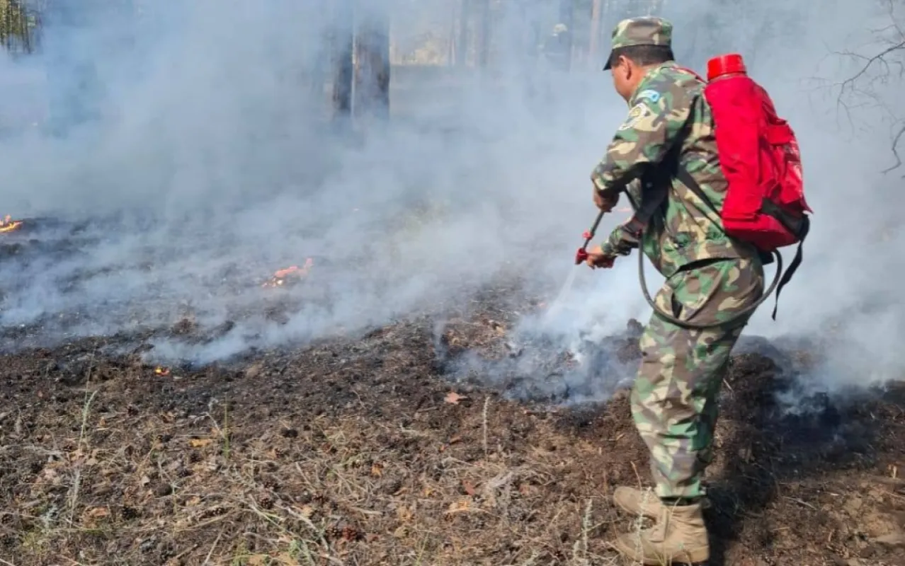 Еліміздің орман қоры аумағында бір күнде 3 орман өрті тіркелді